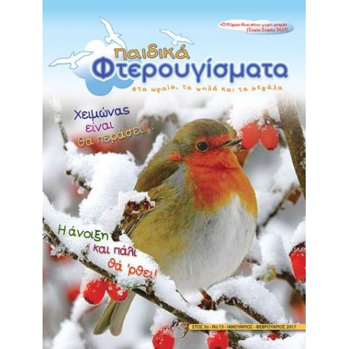 ΤΕΥΧΟΣ 13  Ιανουάριος - Φεβρουάριος 2017